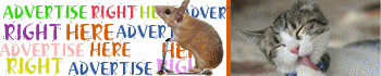 Advertise on ExportHelp
